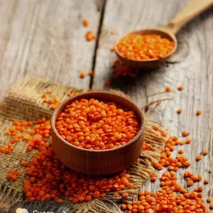 Paket Mobile Data Telkomsel - Internet Harian 20K 1 hari