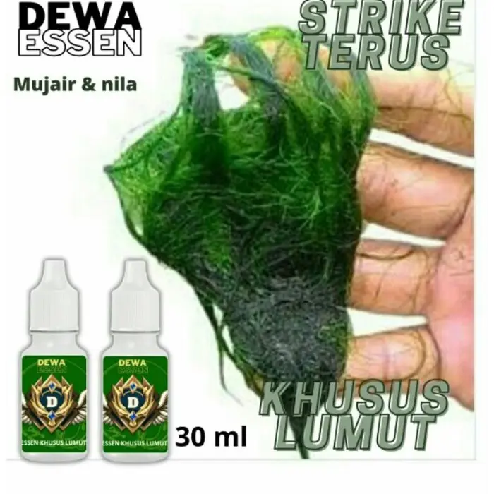 Terbaru Essen Ikan Nila Mujaer Media Lumut Paling Ampuh Gacor 30 Ml Siap Pakai