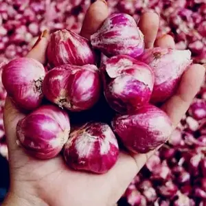 bawang merah brebes super.500 gr