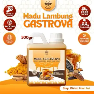 Madu Gastrova Madu Lambung Maag GERD Herbal Asam Lambung Naik, Magh Kronis, Anxiety, Perut Kembung & Mual BeeVora 500gr