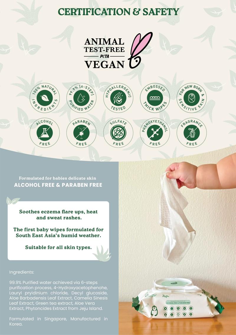 Product Introduction of Jentle from Jeju Luxurious Baby Wipes Pocket-Friendly Mini Size  - 1 Packet 6