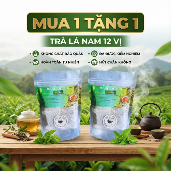 Mua 1 Tặng 1 - Trà Lá Nam 12 Vị - Đã Qua Kiểm Nghiệm - Xay Nhuyễn Hút Chân Không - Thảo Dược Tự Nhiên - Tea Nước Trà Chè