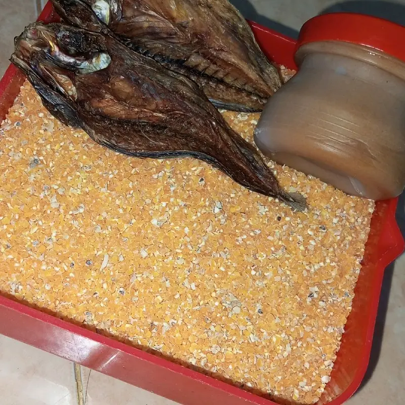 beras jagung ikan asin dan petis 1