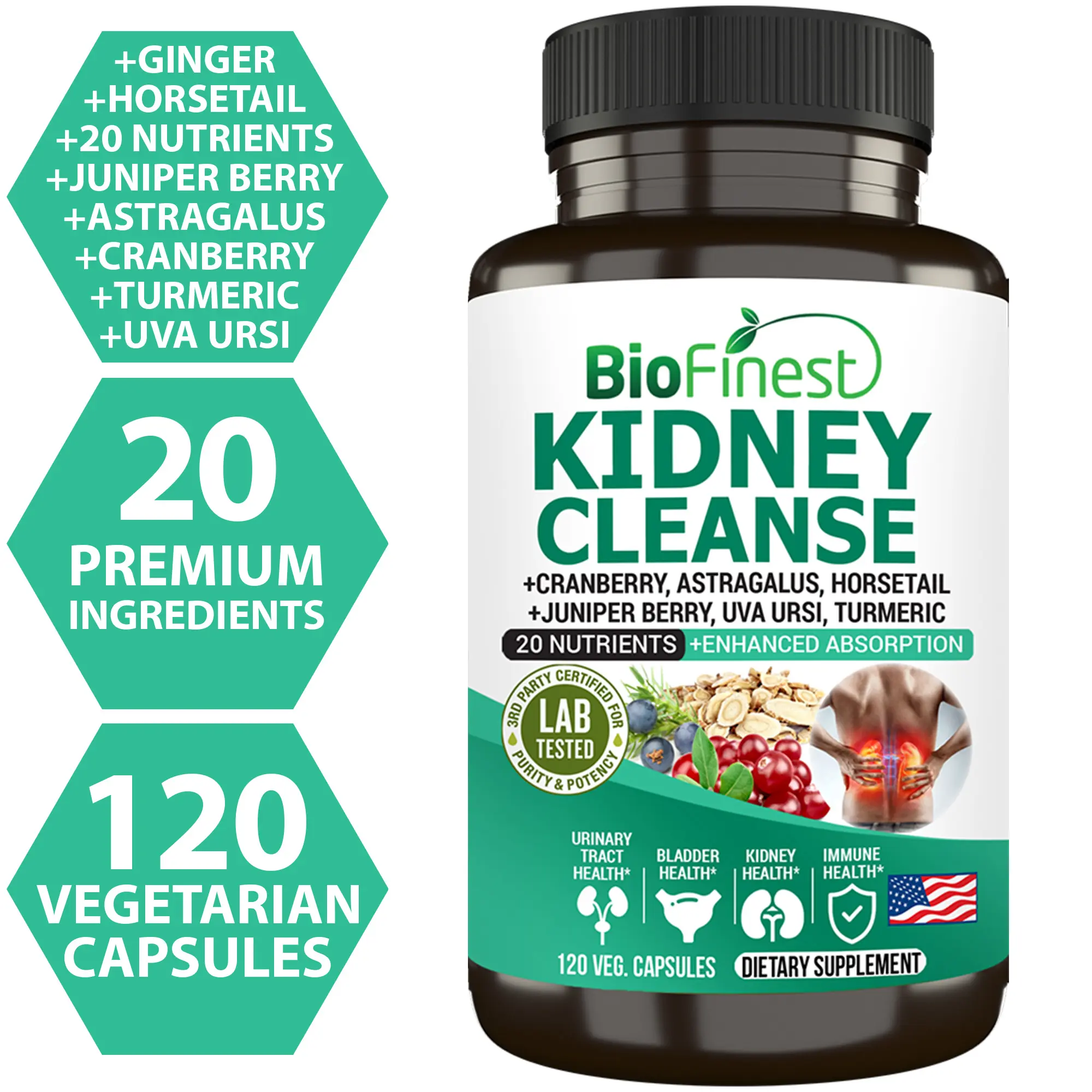 Biofinest Kidney Support Supplement – Cranberry, Turmeric, Ginger, Green Tea For Kidney & Urinary Health (120 Veg. Capsules
