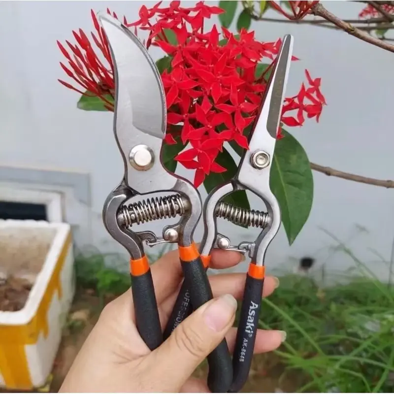 Kéo cắt cành ASAKI chuyên cắt tỉa  cây ăn trái ,cây cảnh cây bon sai,dụng Cụ làm vườn