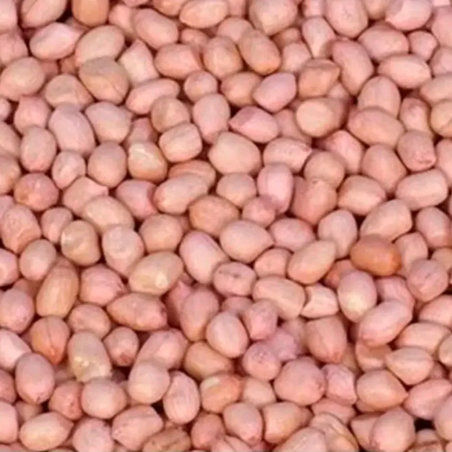 1 kg kacang