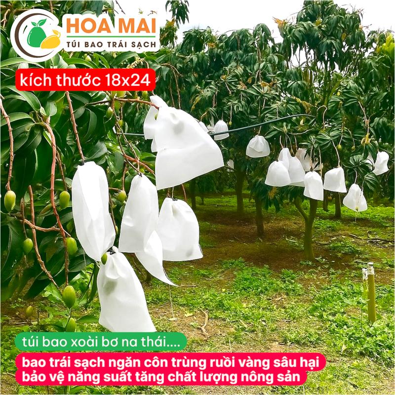 100 Túi bao xoài na thái sapo 18x24cm chống sâu ruồi vàng đục quả bao trái sạch giá rẻ