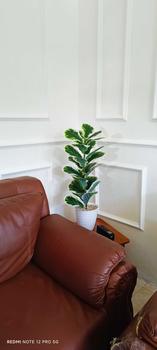 Product Review of TANAMAN ARTIFICIAL KETAPANG  PUTIH 23DAUN(sudah+pot) from y**5 0
