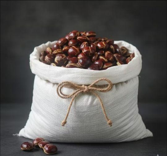 JENGKOL TUA PULEN & LEGIT KEMASAN 1KG/JENGKOL SEPI/JENGKOL SEGAR/JENGKOL MENTAH/JENGKOL RENDANG/PROMO JENGKOL MURAH/ Kecombrang JENGKOL TUA PULEN & LEGIT KEMASAN 1KG/JENGKOL SEPI/JENGKOL SEGAR/JENGKOL MENTAH/JENGKOL RENDANG/PROMO JENGKOL MURAH/ Kecombrang