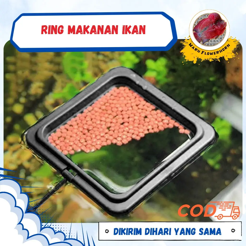 Aifeier ring tempat makan ikan aquarium fish feeding ring floating feeder