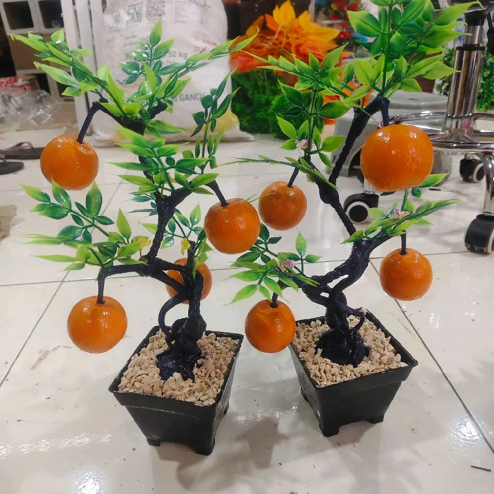 Jarot Grosir 1 Pohon Buah Kayu Tinggi 40cm Dengan Vas Plastik Hitam Dan Daun Hijau Cantik Jarot Grosir 1 Pohon Buah Kayu Tinggi 40cm Dengan Vas Plastik Hitam Dan Daun Hijau Cantik