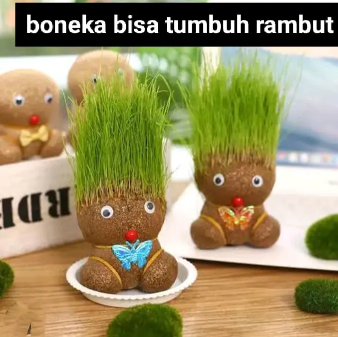Boneka Rumput, Horta, Gress Doll, Boneka Tumbuh Rambut, Alat Kerajinan Sekolah, dan Mainan - Toys