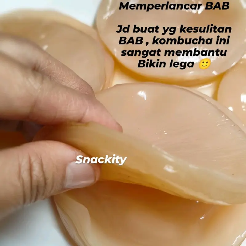 Scoby fermentasi kombucha diameter 8 cm, tebal 0,5 cm, lengkap dgn starter 200 ml 4