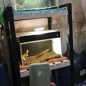 LEPET Spons Akuarium Multifungsi - Anti Gores PJ72 / Bersihkan Kerak Kapur dalam Sekejap