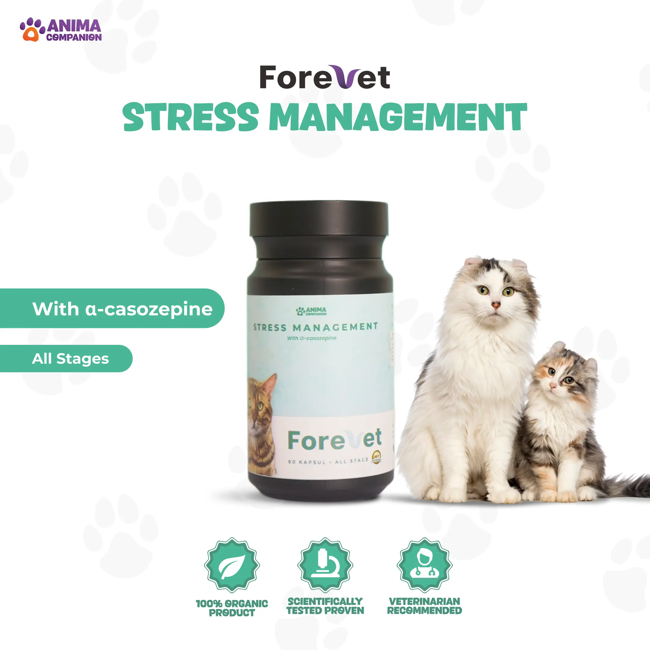 Forevet - Vitamin Stress Kucing Anjing, Suplemen Kucing dan Anjing Anti Stress Management