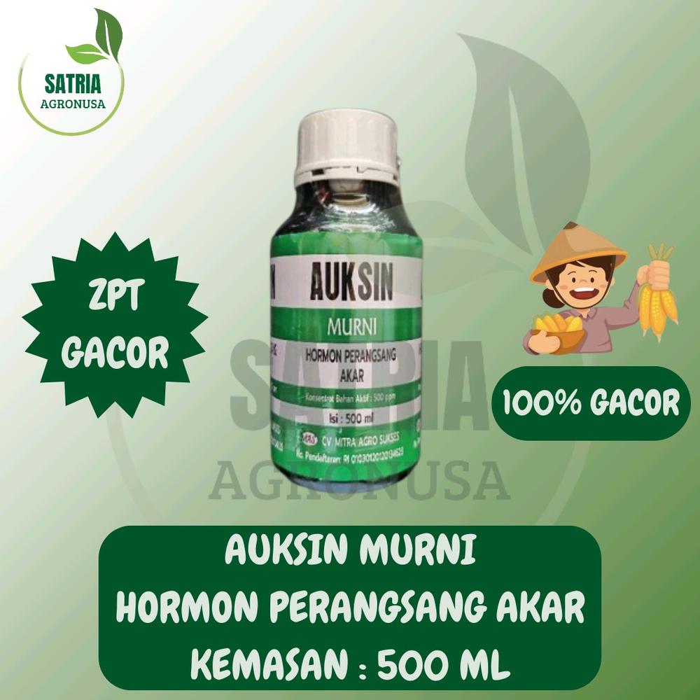 AUKSIN MURNI 500 ML - HORMON PERANGSANG AKAR