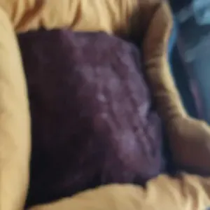 PETBED PREMIUM Kasur Kucing & Anjing | Tempat Tidur Hewan Peliharaan Kucing Anjing Premium | Empuk Nyaman Lembut Tahan Lama Awet