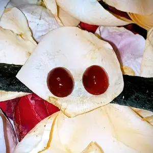 SEPASANG MUSTIKA RA TU DELIMA 100% ALAMI