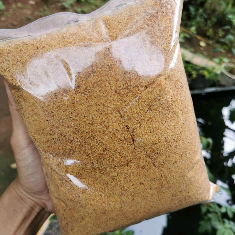 Panir Bawang 500g Bumbu Cilung / Papeda •Berkualitas Asli Brebes Spices Rempah Bahan Masakan Bubuk 3