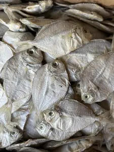 IKAN ASIN PETEK KUALITAS SUPER - ASIN GURIH - KIRIM KERING