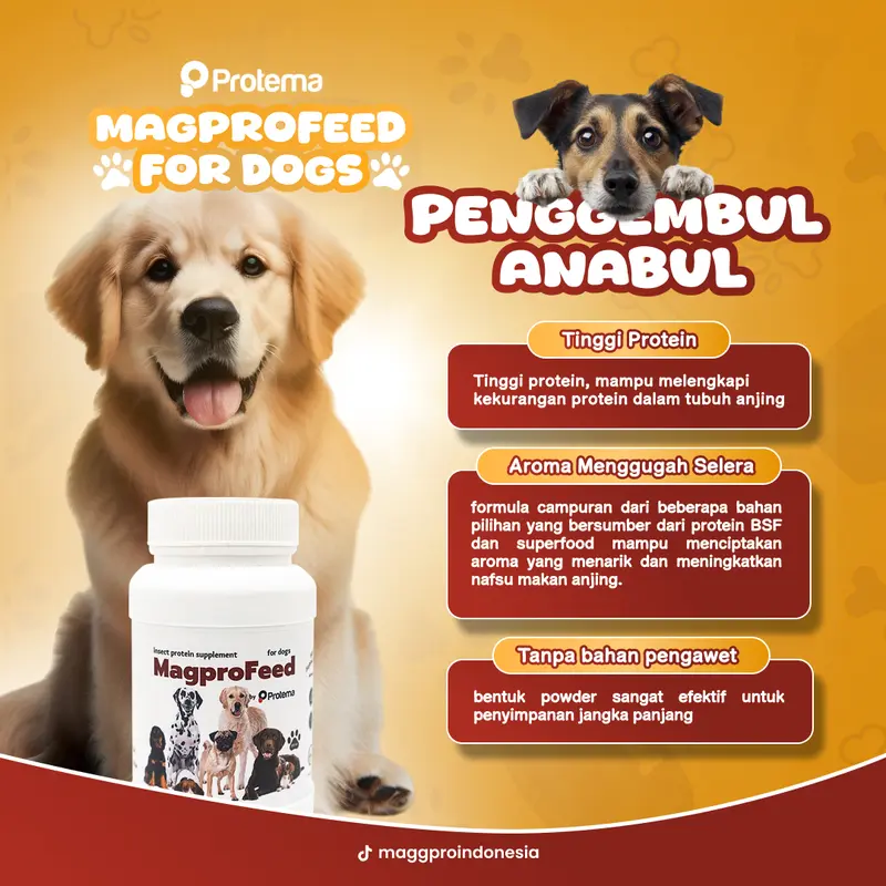 [EXTRA JUMBO] MAGPROFEED - VITAMIN ANJING 625GR | Penggembul Anabul, Boost Penambah Nafsu Makan, Melebatkan Bulu, Cegah Kerontokan 2