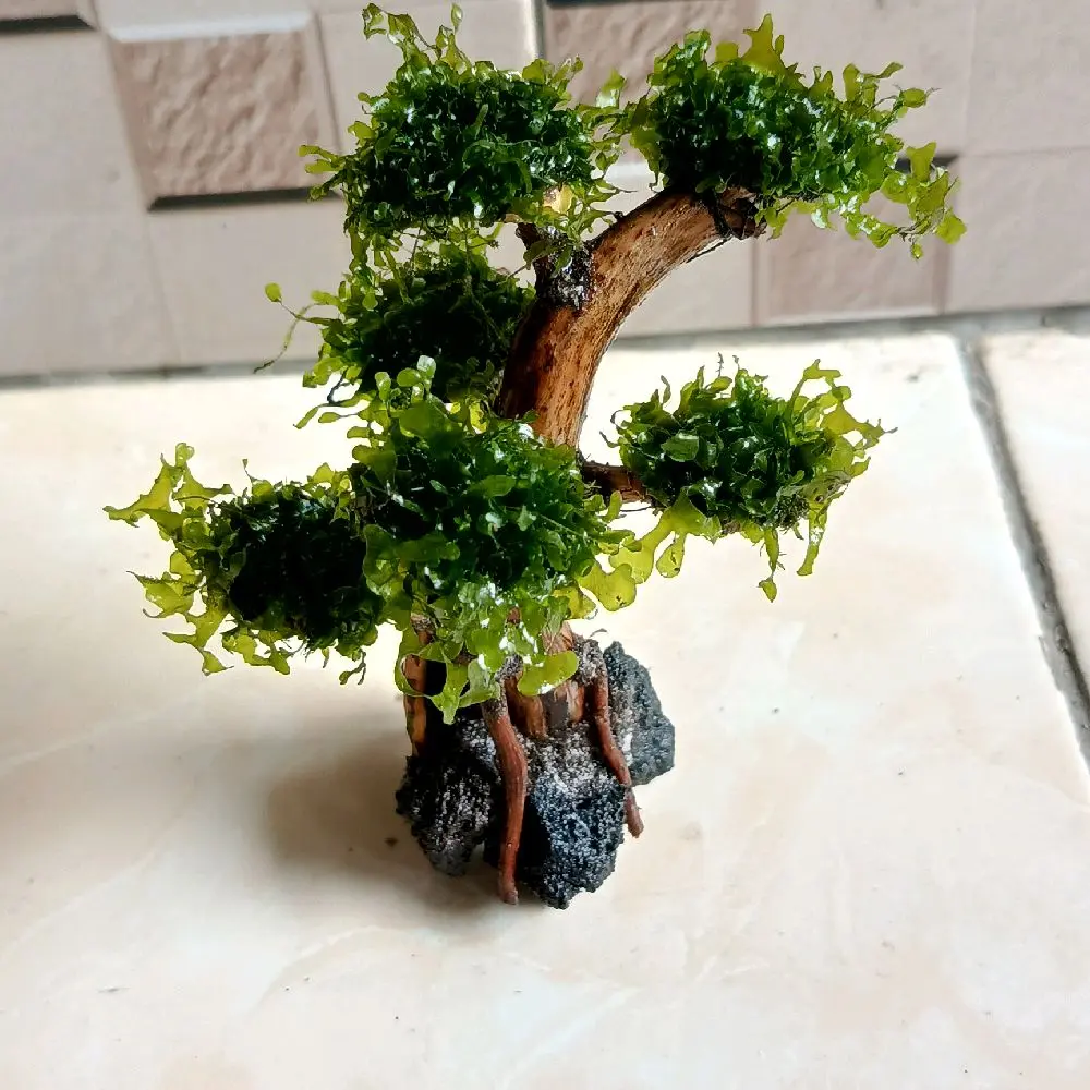 replika bonsai mini hiasan akuarium dekorasi aquascape