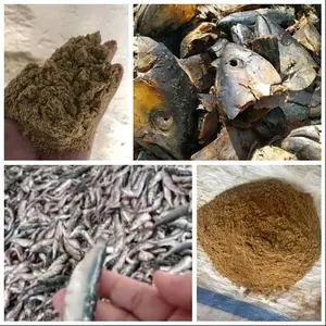 Tepung ikan 60% Monggo di jamin 5kg