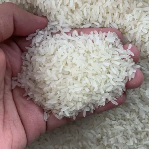 Beras Gambut (Arjuna/Siam Mutiara/Unus Mayang) Rice