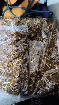 Product Review of Rok Wiru Wanita Sidomukti Akad Nikah Tinggal Pakai rok sobek samping Panjang from N**h 0