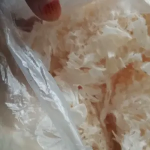 TERMURAH! / 31gram  MURAH Jamur es / putih salju / bai mu er / yin er/ white fungus