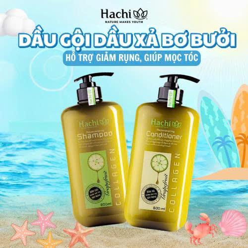 Dầu Gội, Dầu Xả Bơ Bưởi Hỗ Trợ Giảm Rụng Regenerating Hachi Chính Hãng, Dầu…