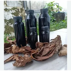 Exstrak Ketapang kemasan