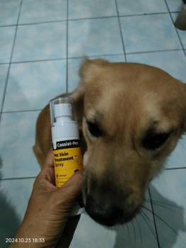 Product Review of Cassiel Pet Skin Treatment Spray Obat Anti Scabies Gatal Kulit Jamur Luka Koreng Bernanah Eksim Gatal Kucing Dan Anjing Paling Ampuh 60 Ml sirop satu barang from T**e 2