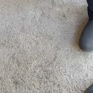 adventure camping petualangan teropong birdwatching outdoor