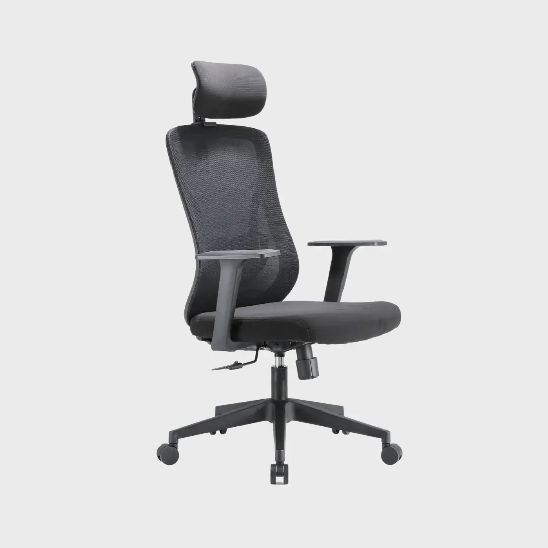 M83 Basic Office Ergonomic Chair with Adjustable Lumbar Support and Reclining Backrest