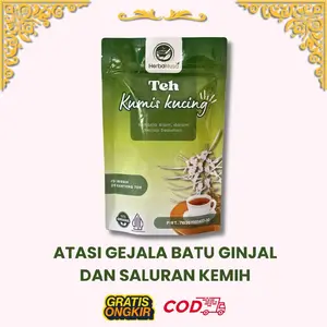 Teh Kumis Kucing Atasi Gejala Batu Ginjal Dan Saluran Kemih