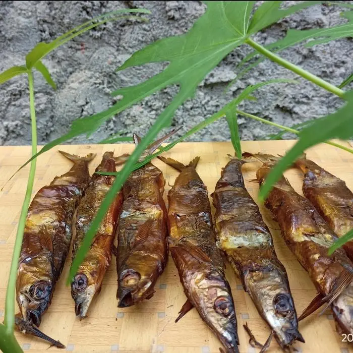 Ikan roa / Ikan roa utuh 1 gepe isi 20 ekor / Roa asap / Roa 3