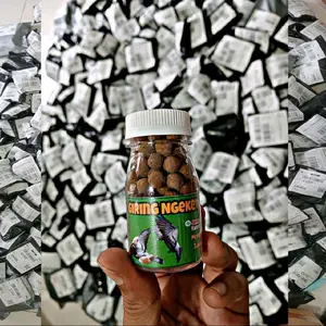 Jamu Merpati Giring Keket Keras Paling Ampuh dalam 2 hari pil edan pil alus extra ginseng teki plus