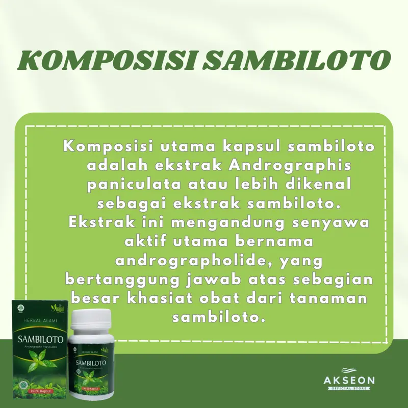 KAPSUL HERBAL ALAMI SAMBILOTO INAYAH KAPSUL 4