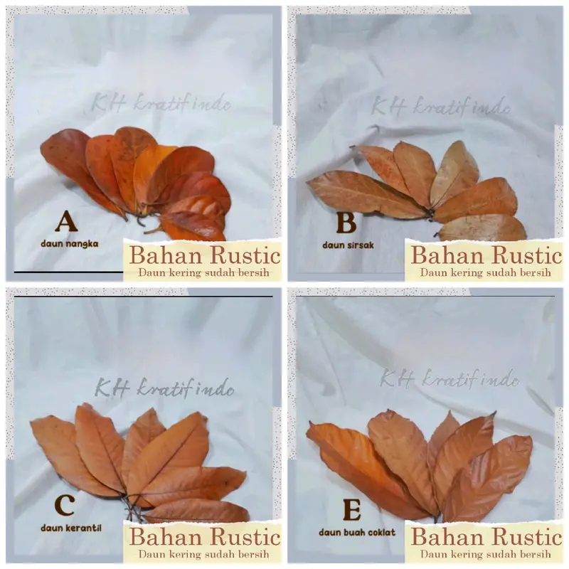 Bahan prakarya kerajinan dan kesenian / Rustic Daun kering bersih / seni keindahan / keterampilan / rustic kesenian yang indah / bahan dasar daun kering Hiasan 0