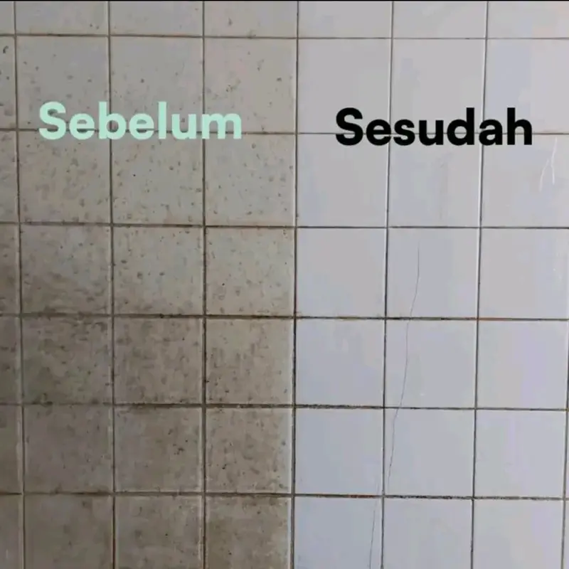 POLLCLEEN TOILET CLEANER PEMBERSIH NODA KERAK KAMAR MANDI ISI 1000ML cairan  pembersih 3
