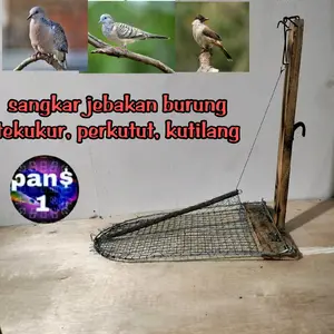 jebakan burung tempel di sangkar