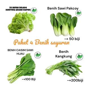 ￼Paket 4 Benih Sayuran Unggul Kangkung Caisim Pakcoy Selada Paket Ratusan benih sayuran