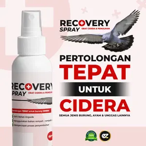RECOVERY Spray untuk burung CIDERA terkilir patah tulang keseleo