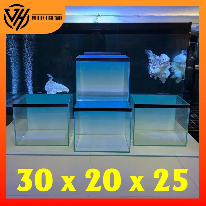 Hồ 30x20x25 bả keo đen tặng tranh BlueSky 3