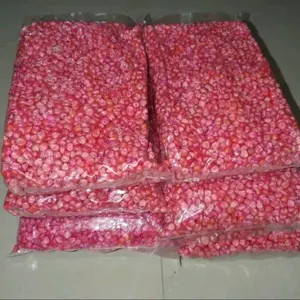 GROSIR BENIH JAGUNG SUMO 1KG