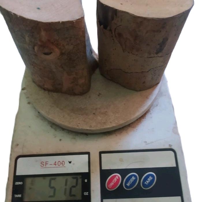 1000 gram kayu songga, kayu ular papua, kayu herbal, gelas songga, obat malaria, obat tradisional 1