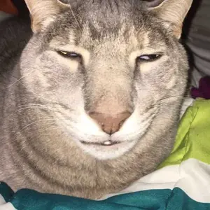 bracelet premium stone green