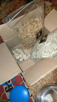 Product Review of PROMO !!! MERIAH  BUY 1 GET 1 , BELI USUS ORI 500GR GRATIS BASRENG ORI 500GR from r**1 0