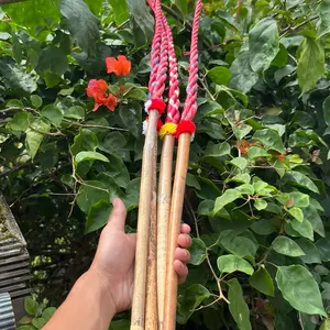 Pecut Tuntun Sapiii siap pakai